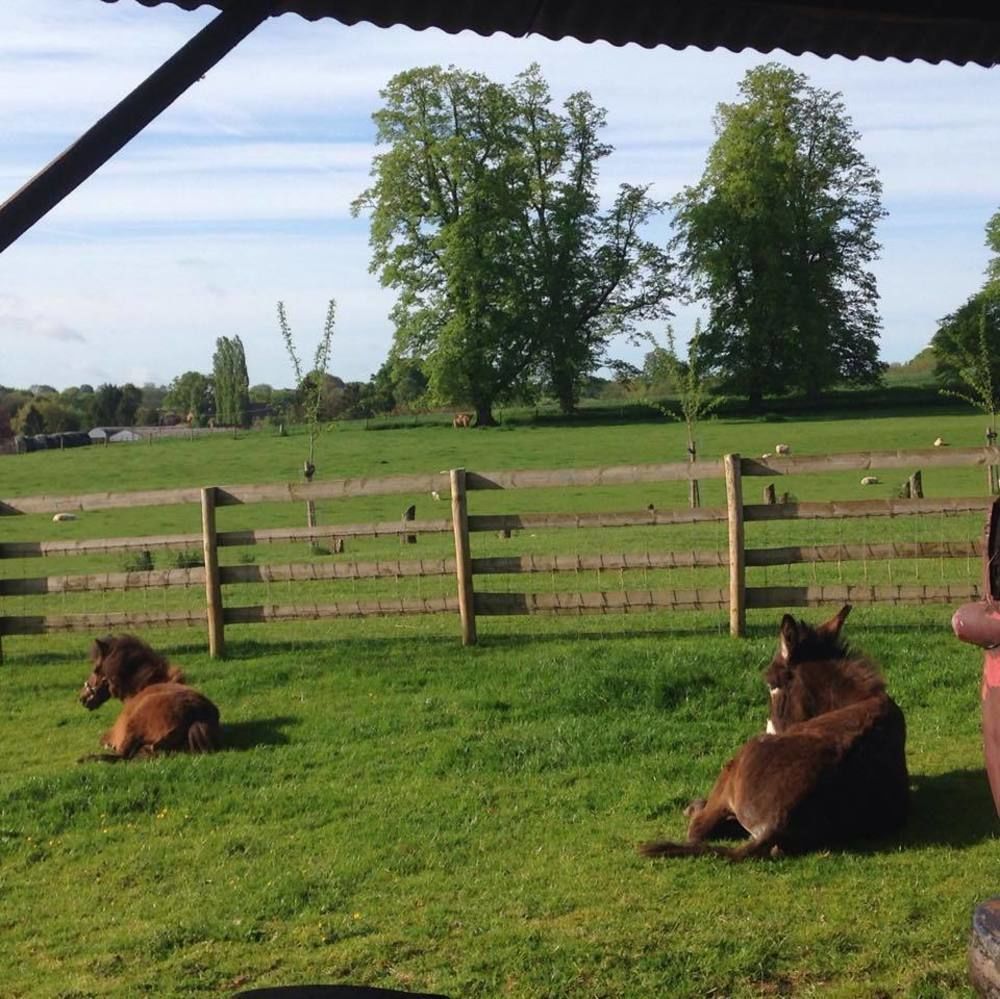 Huntlands Farm Bed & Breakfast Bromyard Buitenkant foto